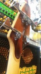 Alembic Essence 4 gaucher