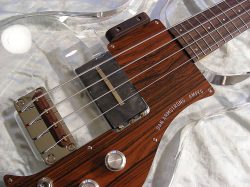 Ricken, Ampeg, Gibson, Vintage style…