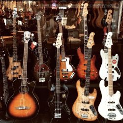 Vitrine du jour