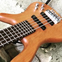 Warwick Streamer 5 GPS. L’Allemande qui est toujours aussi bien. À nouveau dispo en magasin.  #warwickbass #warwickstreamer #bass #basse