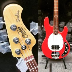 Sterling by MusicMan – Stingray Sub séries Fiesta Red. #musicmanstingray #musicmansterling #musicmanbass #bass #basse #bassporn #bassgram