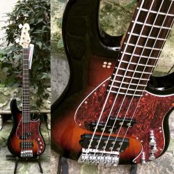 Grrr !!! Sandberg – California V #sandbergbass #sandbergcalifornia #laclassecommedab