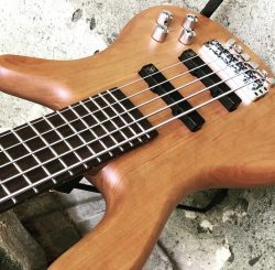 Warwick Streamer 5 GPS