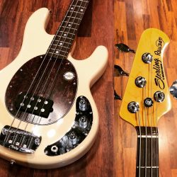 Musicman – Sterling Ray34Creamy color