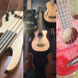 Ukulele basse a gogo
