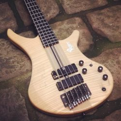 Vigier – Passion 5 stringsOccasion dispo au shop