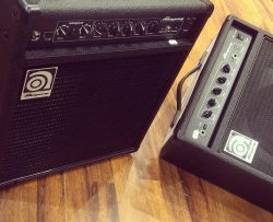 Ampeg serie BA ? Tjrs une valeur sur mon brave 🦾