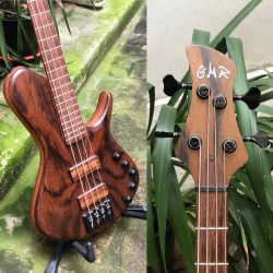 La GMR Single Cut 4. En plus d’être une exclu BC, ce luthier polonais ne fournit que très peu de pièce. Instrument rare pour un niveau de lutherie assez incroyable.