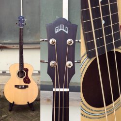 La belle basse Guild B-240EF acoustique fretless. Ça sent l’été !!!