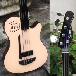 Ça ronronne tellement fort 🐈 Godin A4 Ultra Made in 🇨🇦