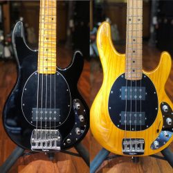 Au choix, vous prenez laquelle ? #musicmanbass