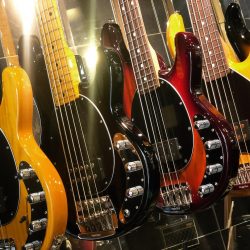Musicman est de retour chez Bass Center. Stingray USA 4 et 5 cordes. Simple ou double micro, 2 ou 3 bandes. LOURD !!!