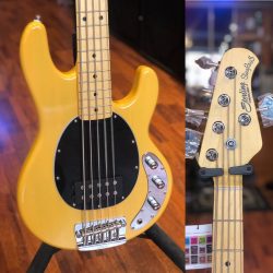 Sterling Stingray 5. 🌲 🪓 🏻 De la bonne basse de bûcheron des Alpes.