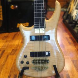 Alembic Essence 5 gaucheren occasion.
