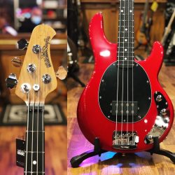 Music Man Stingray 4 Special. Touche en ébène, EQ 3 bandes, Finition Ghost Pepper.
