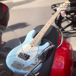 À emporter ️Musicman Shortscale SS Daphné Blue. Dispo au shop !