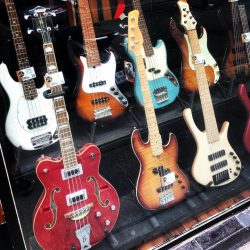 Vitrine de l’été. On attend plus que le soleil ️ ….#gretschbass #gmrbass #bogartbass #fenderbass #sirebass #sadowskybass #ibanezbass #musicmanbass
