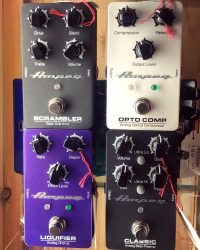 Efficace et pas chère, c’est Ampeg qu’elle préfère.