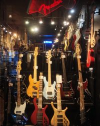 Bass, bass, bass !!!Plus de 200 basses disponible en magasin