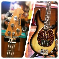 Music Man Stingray 4 special 3EQ. Made in San Luis Obispo  Fraîchement dispo au shop !