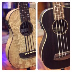 U-Bass Kala – Les Ukulélés basse de référence. Evidemment dispo au Centre de la basse
