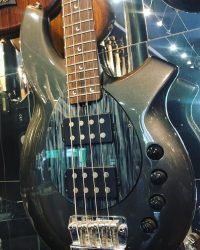 Occasion – Music Man Bongo 4 HH Egyptian Grey 🐈‍