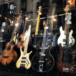 Petite sélection actuellement en vitrine au centre de la basse ️