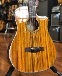 Occasion – Fender Victor Bailey