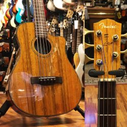 [vendu] Occasion – Fender Victor Bailey V acoustic bass