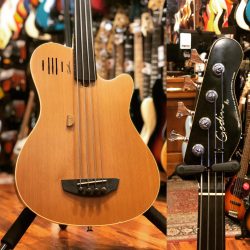 Occasion – Godin A4 Fretless