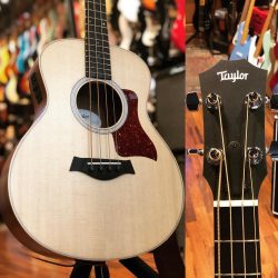(vendu) Occasion – Taylor GS-Mini.  Petite mais costaud.