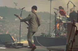 Très belle Hofner Bass 185 sur la tournée de @triggerfingerofficial au #hellfest2023
