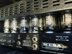 Occasion – Mesa Boogie 400 +  une belle forêt de lampe