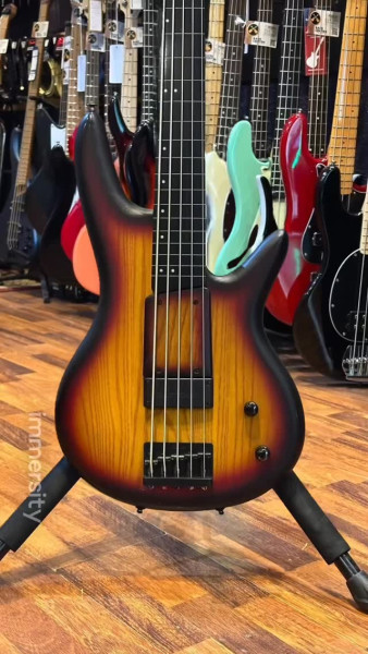 Occasion - Ibanez Gary Willis - Fretless 5, micro et preamp Bartolini et bien plus. GWB205